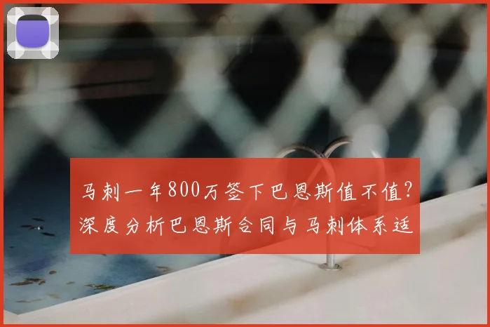 马刺一年800万签下巴恩斯值不值？深度分析巴恩斯合同与马刺体系适配性